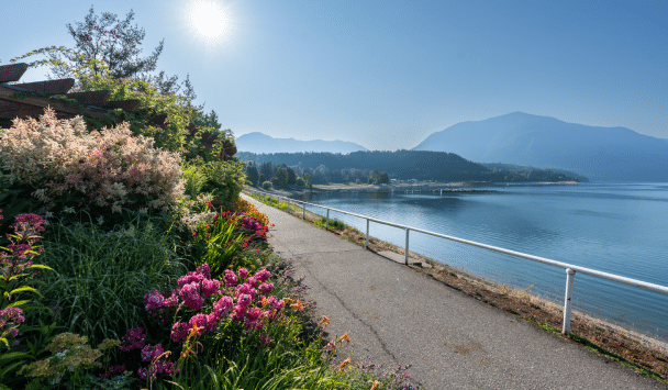 Kootenay Lake Cabin Rentals